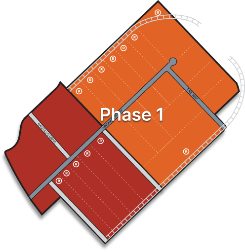 Phase 1